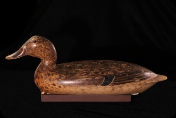 Image of duck decoy carved by Robert Elliston, ca. 1900.