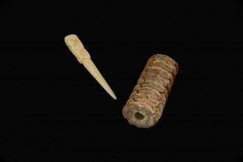 image of bone toothpick and corncob case