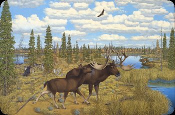 Image of artist, Robert Larson, rendering of the extinct Stag-Moose.