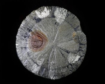 Image of Pyrite Sun.